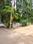 Kothanur Plot View 2