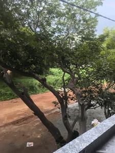 Bedroom Four Image of 3150 Sq.ft 5 BHK Apartment / Flat for sale in Bikasipura Bengaluru for Rs. 29000090