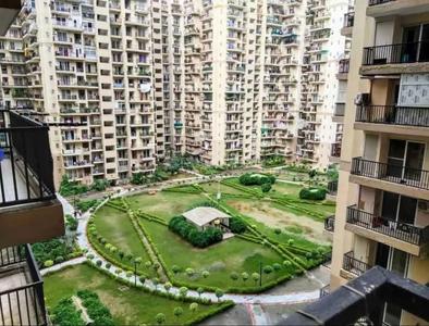 Balcony Image of Suarav Gupta in Noida Extension, Greater Noida