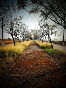 Image of 1650 Sq.ft Residential Plot / Land for sale in Princes MGR Princes Hilltop II Phase, Ringnodiya, Indore for Rs. 7014150