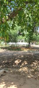 Image of 1000 Sq.ft Residential Plot / Land for sale in Palam Vihar, Gurgaon for Rs. 195000000