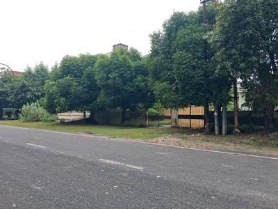 Residential Plot