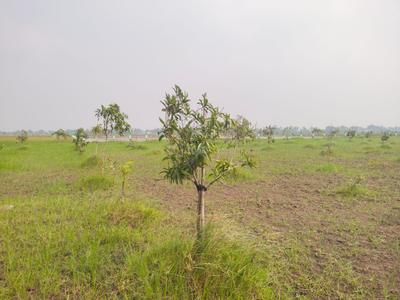 Image of 9600 Sq.ft Residential Plot / Land for sale in Wisdom Sri Sai Garden, Walajabad, Chennai for Rs. 2400000