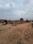 Sanauli Plot View 2