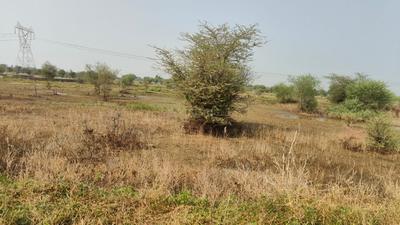 Image of 3726 Sq.ft Residential Plot / Land for sale in Jagatpura, Jaipur for Rs. 32292000