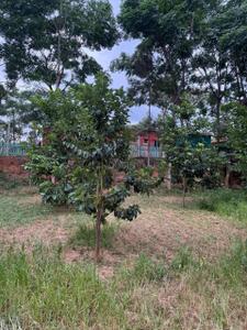 Image of 87120 Sq.ft Residential Plot / Land for sale in  Jayaram Layout, Ragihalli State Forest, Bengaluru for Rs. 25000000