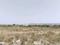 Mothijui Plot View 2