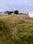 Kinathukadavu Plot View 2
