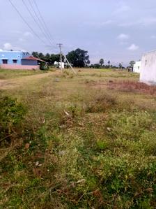 Image of 1631 Sq.ft Residential Plot / Land for sale in Kinathukadavu, Coimbatore for Rs. 1500000