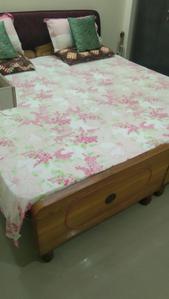 Bedroom Image of 646 Sq.ft 1 RK Builder Floor for rent in Nandanam Chennai for Rs. 24000