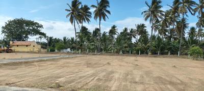 Image of 435 Sq.ft Residential Plot / Land for sale in Ramanathapuram, Coimbatore for Rs. 340000