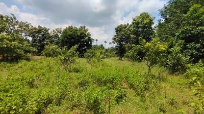 Image of 31968 Sq.ft Residential Plot / Land for sale in Kothavalasa, Visakhapatnam for Rs. 14800000