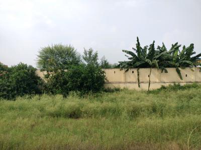 Soha Neal City Plot View 2