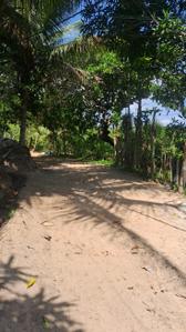 Image of 1089 Sq.ft Residential Plot / Land for sale in Khopate, Raigad for Rs. 350000
