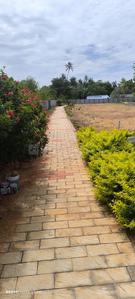 Residential Plot