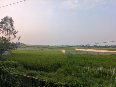 Image of 720 Sq.ft Residential Plot / Land for sale in New Town, Kolkata for Rs. 1220002