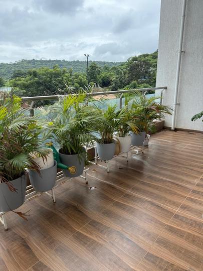 K Raheja Plot No 8 Viva Pirangut Main Image 1