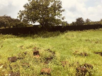 Pernam Municipal Area Plot View 3