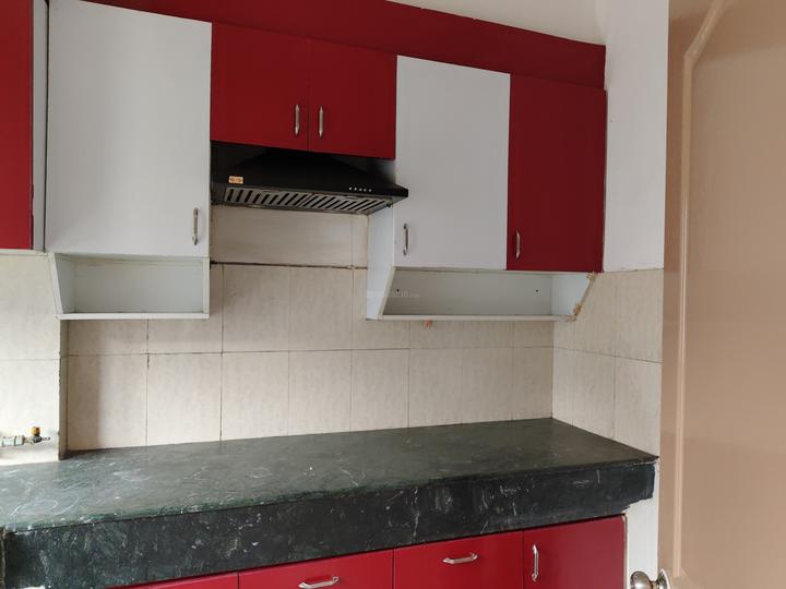 Paras Tierea Main Image 1