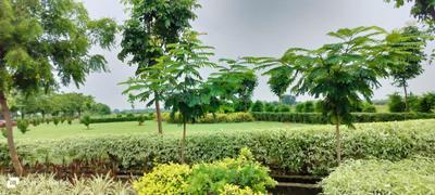 Image of 1500 Sq.ft Residential Plot / Land for sale in Wallfort Paradise, Kandul, Raipur for Rs. 3900000