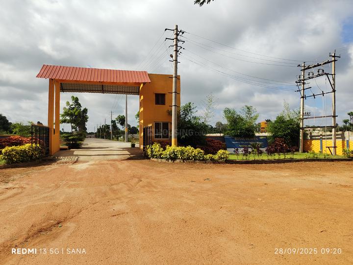 Sana Royal Heaven Main Image 1