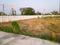 Palur, KAnchipuram Plot View 2