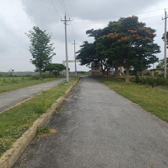 KNS AURA Main Image 1