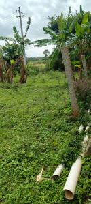 Image of 1750 Sq.ft Residential Plot / Land for sale in Hesaraghatta, Bengaluru for Rs. 3800000