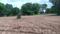 Nalsarovar Plot View 2