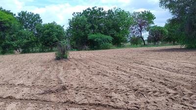 Vanthal Nalsarovar Plot View 2