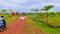 Tamando Plot View 2