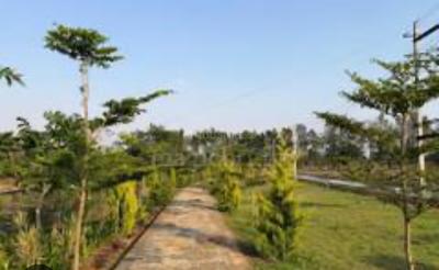 Radhe Lake View 2 Plot View 2