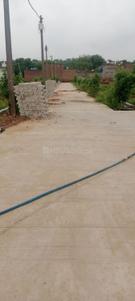 Image of 1152 Sq.ft Residential Plot / Land for sale in Govardhan, Mathura for Rs. 3841100