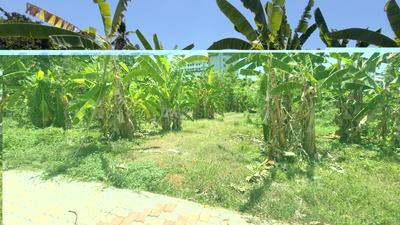 Image of 4555 Sq.ft Residential Plot / Land for sale in Kakkanad, Kochi for Rs. 15500000