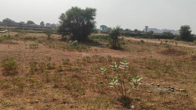 Image of 2979 Sq.ft Residential Plot / Land for sale in Jagatpura, Jaipur for Rs. 26149000