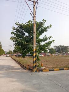 Image of 150 Sq.ft Residential Plot / Land for sale in Gundrampalli, Nalgonda for Rs. 1875000