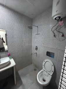Bathroom Image of 1000 Sq.ft 1 RK Independent House for rent in Sector 49 Gurgaon for Rs. 15000