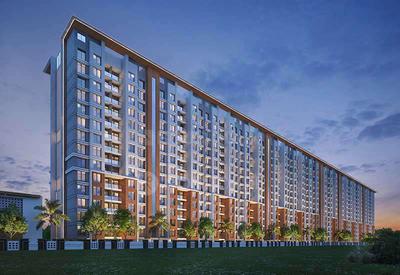 3 BHK Flat