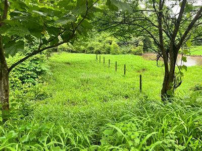 Image of 1000 Sq.ft Residential Plot / Land for sale in Pali, Raigad for Rs. 350000