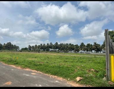 Image of 1400 Sq.ft Residential Plot / Land for sale in Othakalmandapam, Coimbatore for Rs. 575000