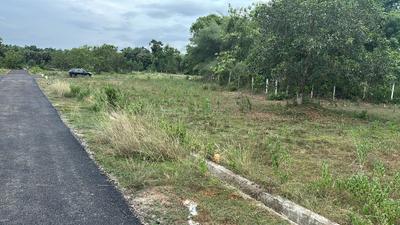 Image of 1000 Sq.ft Residential Plot / Land for sale in Kothavalasa, Visakhapatnam for Rs. 12000000