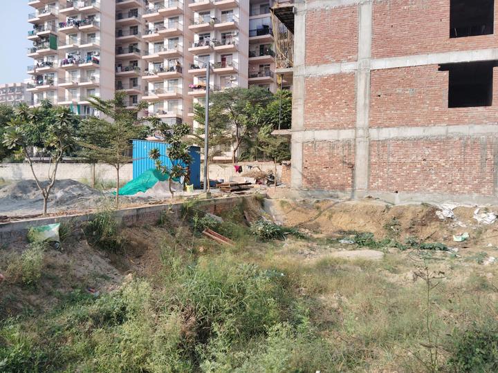 Skywhales Vienna Greens II Main Image 1