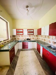 Kitchen Image of 2200 Sq.ft 2 BHK Independent House for rent in Model Town Ludhiana for Rs. 20000