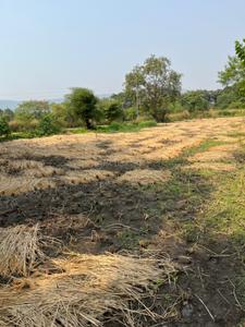 Image of 32670 Sq.ft Residential Plot / Land for sale in Veshvi, Alibag for Rs. 30000000