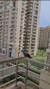 Balcony Image of 1400 Sq.ft 2 BHK Apartment / Flat for sale in Indiabulls Centrum Park, Sector 103 Gurgaon for Rs. 15500000