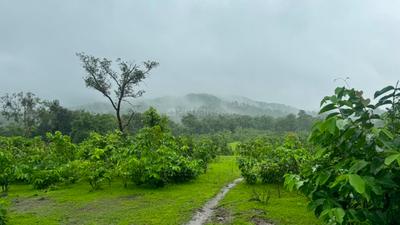 Image of 80000 Sq.ft Residential Plot / Land for sale in Murbad, Thane for Rs. 7000000