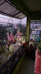 Balcony Image of 1100 Sq.ft 2 BHK Apartment / Flat for sale in Royal Plaza, Bagadganj Nagpur for Rs. 6000000