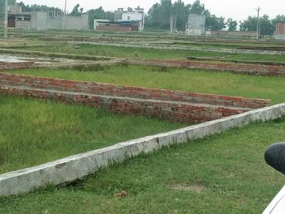 Ghasyari Mandi Plot View 2