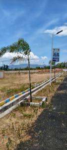 Image of 1200 Sq.ft Residential Plot / Land for sale in Chettinayakanpatti, Dindigul for Rs. 150000