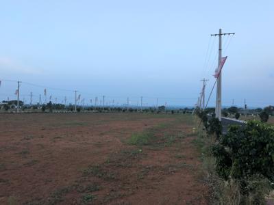 Image of 170 Sq.ft Residential Plot / Land for sale in Yacharam, Hyderabad for Rs. 2400083